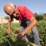 Da qui si apre una grande area coltivata. Incontriamo il primo contadino, ha 86 anni ed � piccolo e ossuto, con il volto solcato da rughe